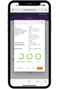 RP Mobile Auditor in Phone